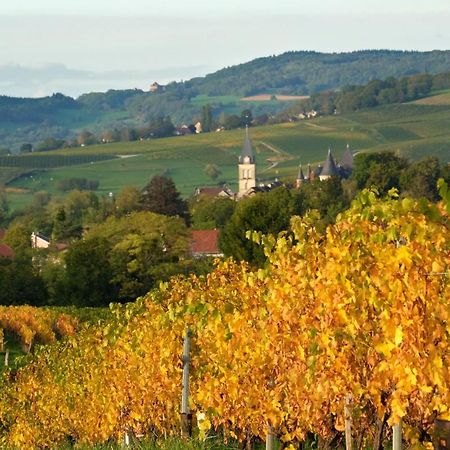 Gite Le Douglas, Vignoble Et Reculees Du Jura - Avec Sauna Lavigny Dış mekan fotoğraf