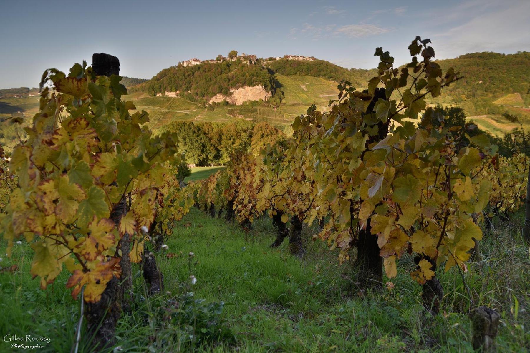 Gite Le Douglas, Vignoble Et Reculees Du Jura - Avec Sauna Lavigny Dış mekan fotoğraf