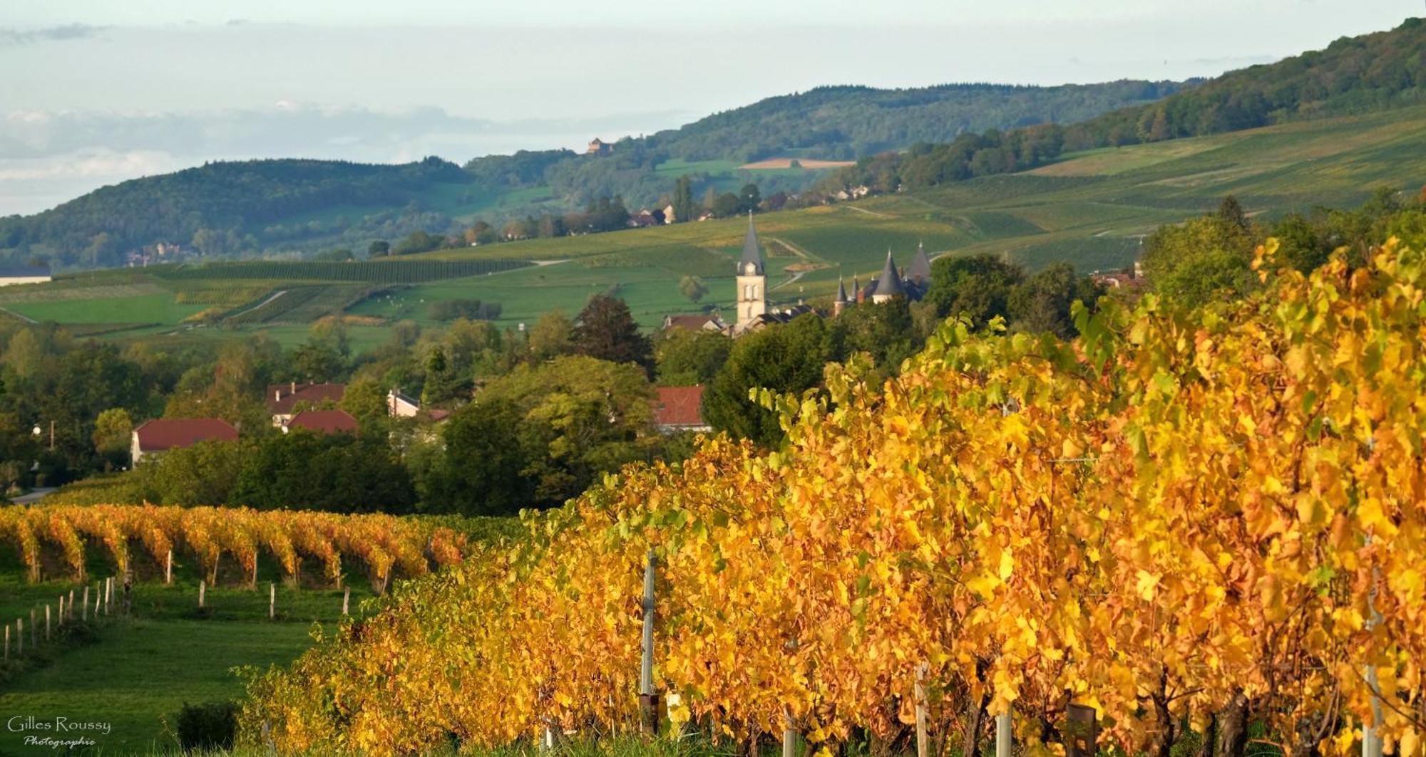 Gite Le Douglas, Vignoble Et Reculees Du Jura - Avec Sauna Lavigny Dış mekan fotoğraf